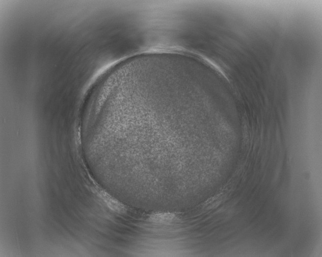 X0000060791462200512011653