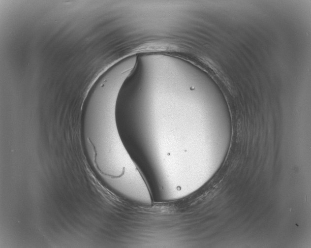 X0000060791465200512011653