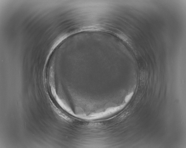 X0000060791466200512011653