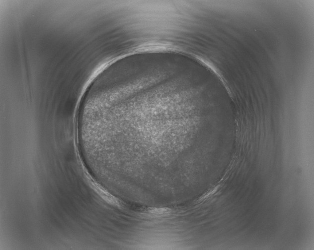 X0000060791467200512011653