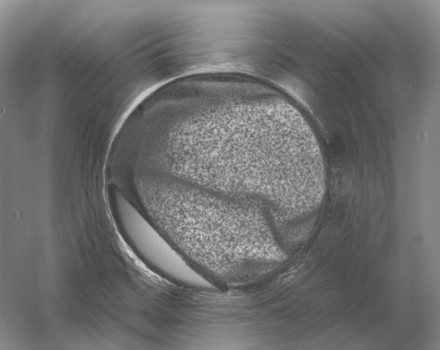 X0000060791468200512011653