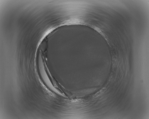 X0000060791469200512011653