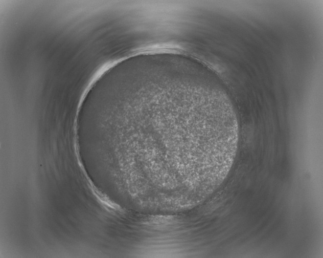 X0000060791470200512011653