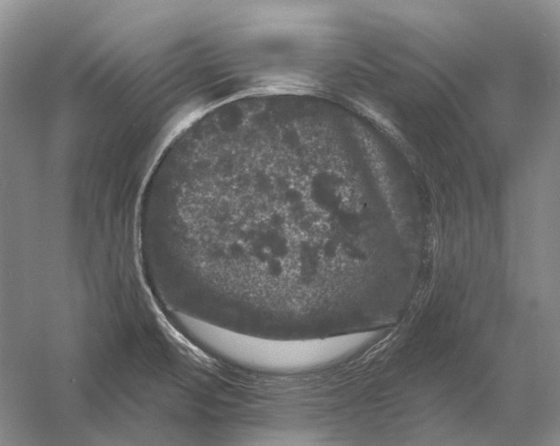 X0000060791471200512011653