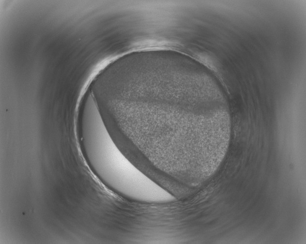 X0000060791472200512011653