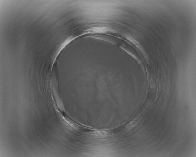 X0000060791473200512011653