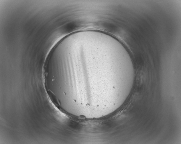 X0000060791476200512011652