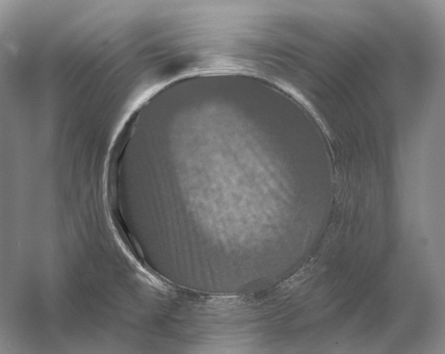 X0000060791477200512011652