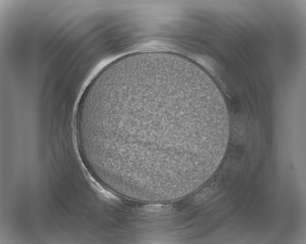 X0000060791478200512011652