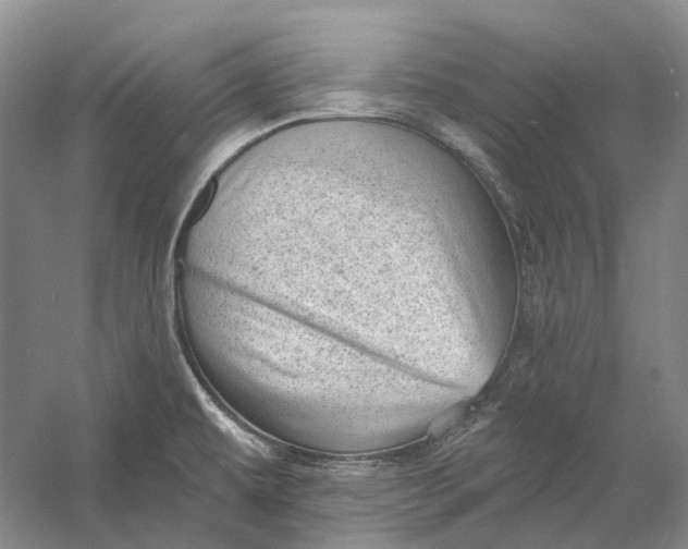 X0000060791479200512011652