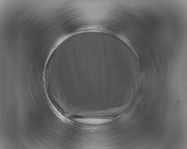 X0000060791482200512011652