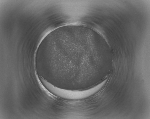 X0000060791483200512011652