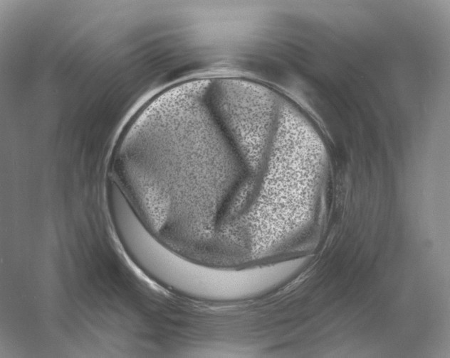 X0000060791484200512011652