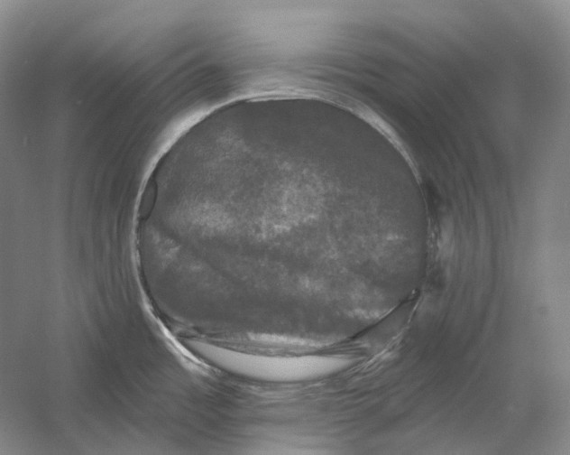 X0000060791485200512011652