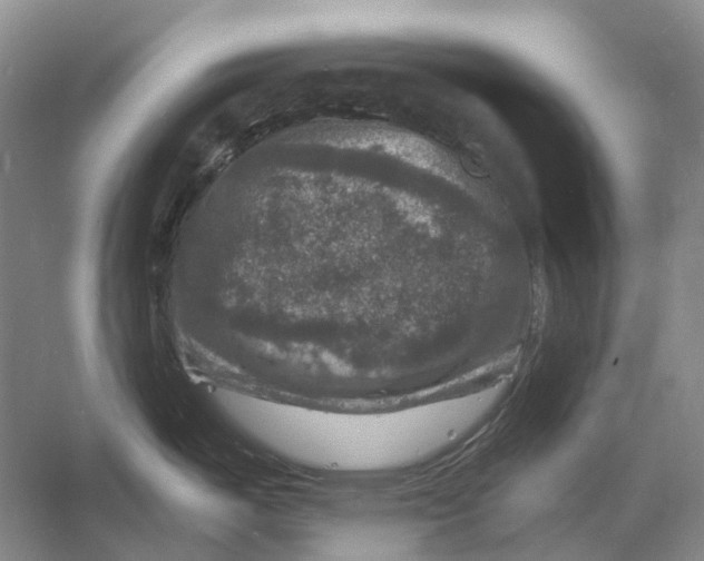 X0000060791487200512011652