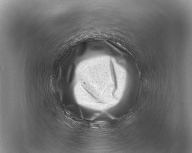 X0000060791490200512011651