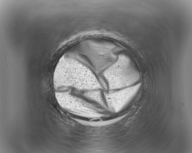 X0000060791494200512011652