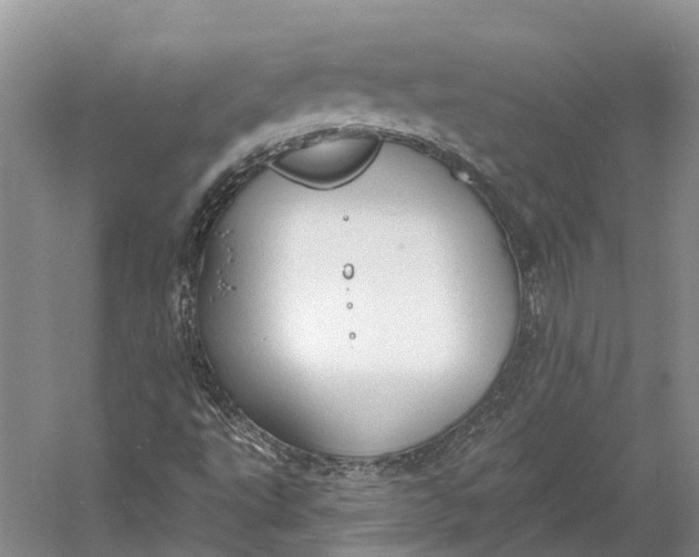 X0000060791495200512011652