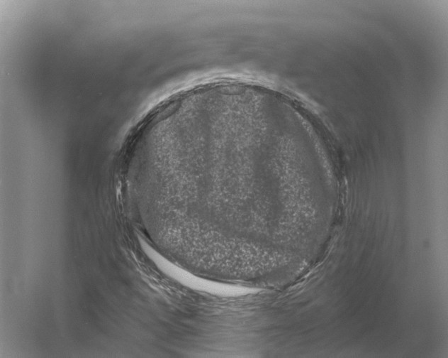 X0000060791496200512011652