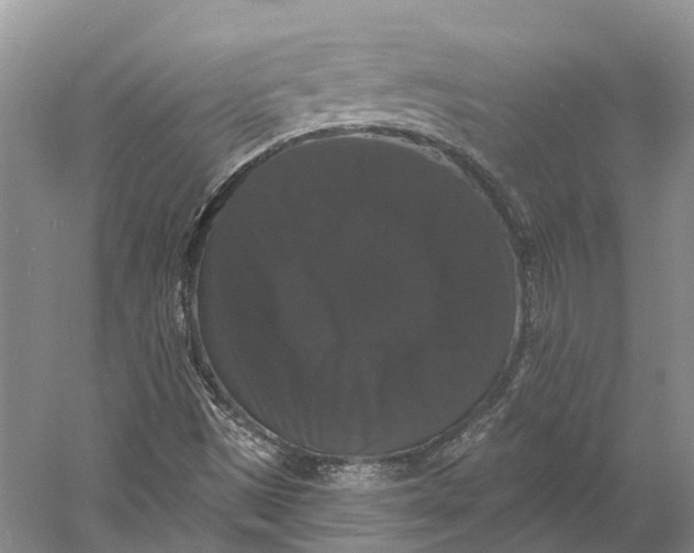 X0000060791497200512011652