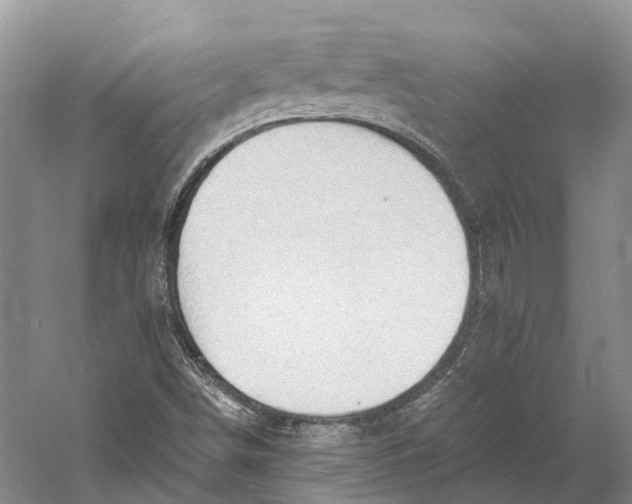 X0000060791498200512011652