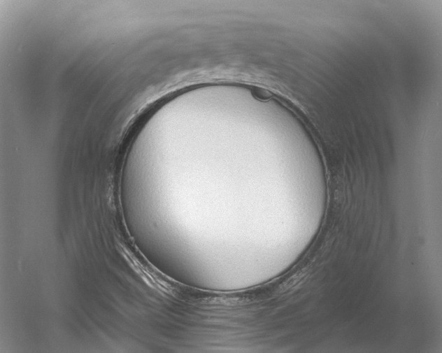 X0000060791499200512011652