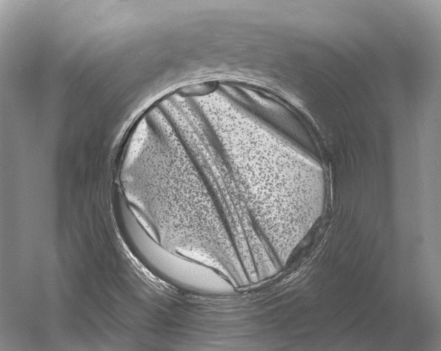 X0000060791500200512011652