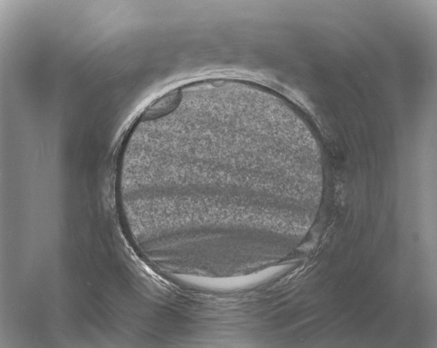 X0000060791504200512011652