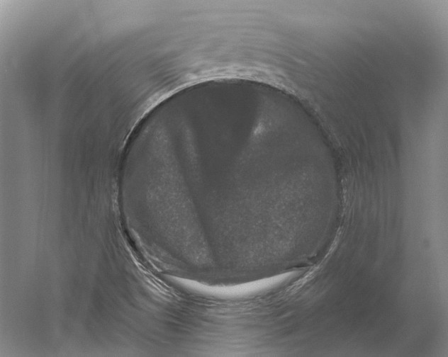 X0000060791505200512011652