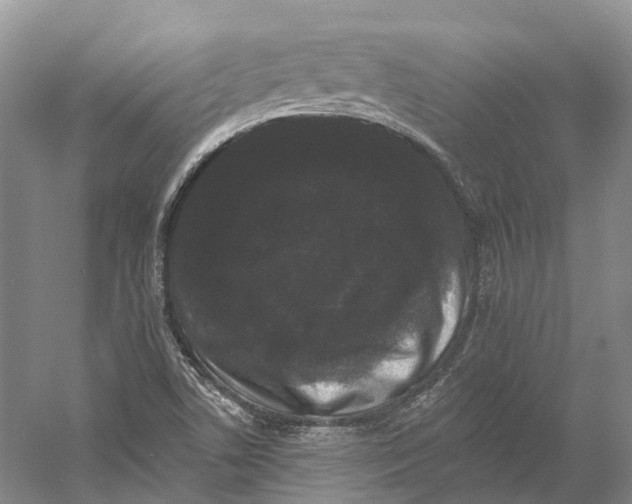 X0000060791506200512011652