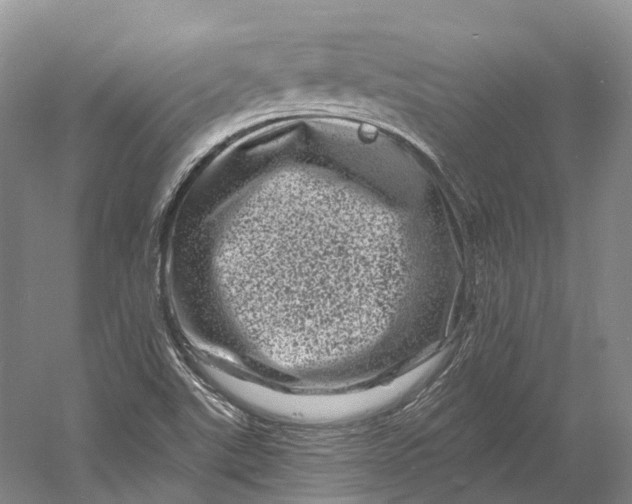 X0000060791507200512011652