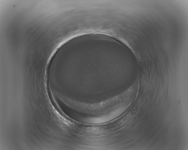 X0000060791508200512011652