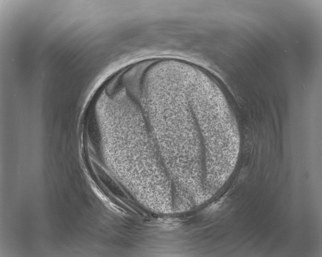 X0000060791511200512011652