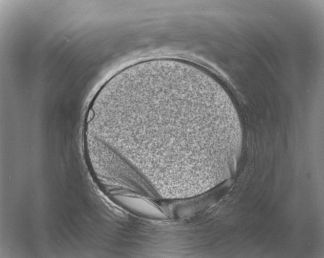 X0000060791512200512011652