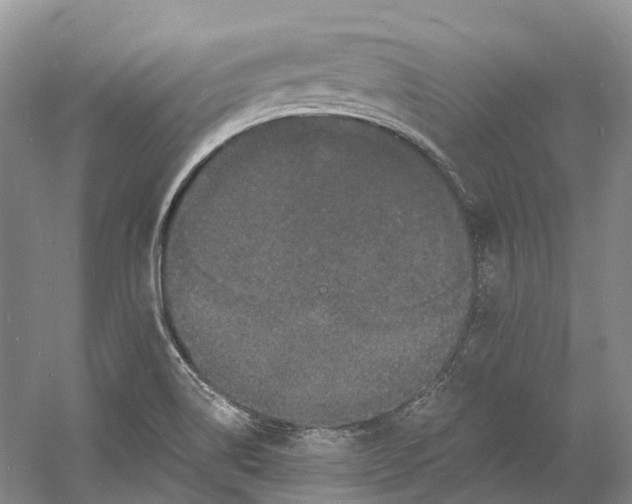 X0000060791514200512011652