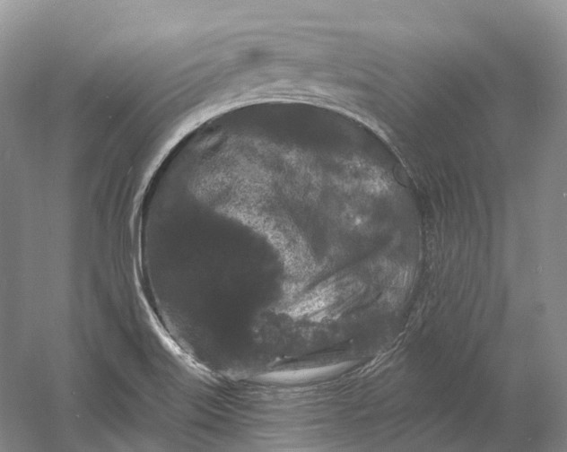 X0000060791515200512011652