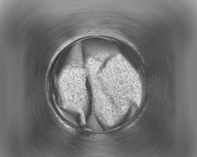 X0000060791517200512011652