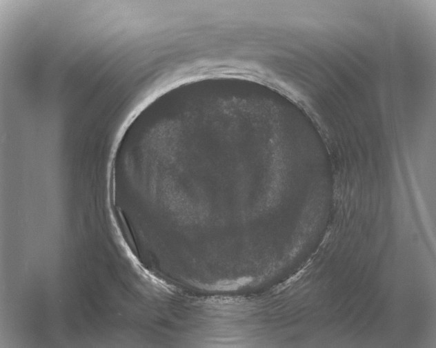 X0000060791520200512011652