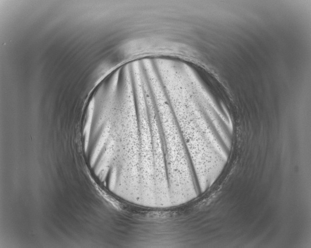 X0000060791521200512011652