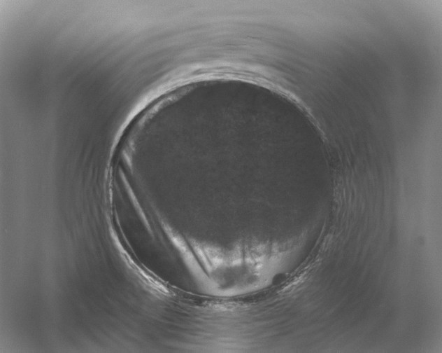 X0000060791522200512011652