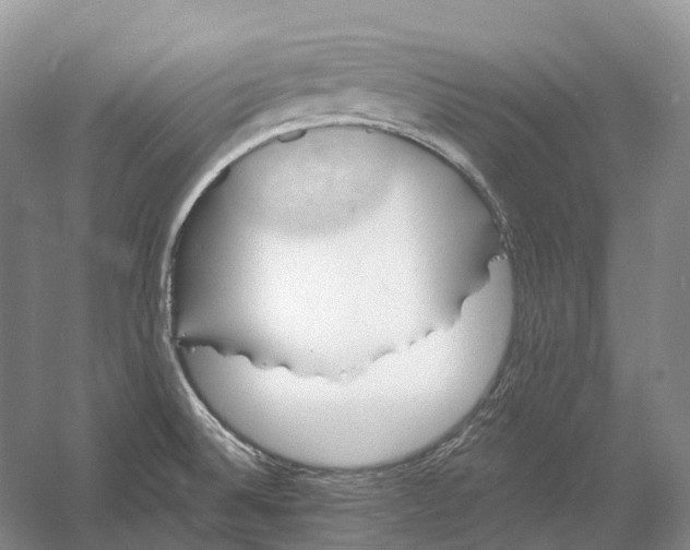 X0000060791524200512011652