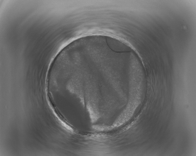 X0000060791525200512011652