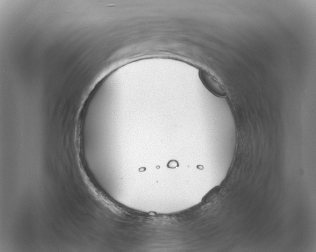 X0000060791526200512011652