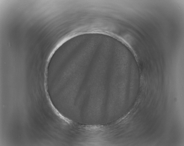 X0000060791528200512011652