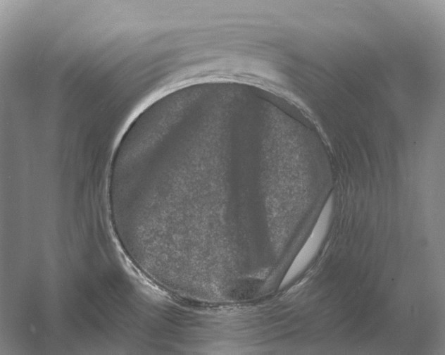 X0000060791530200512011652