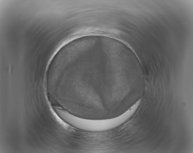 X0000060791531200512011652