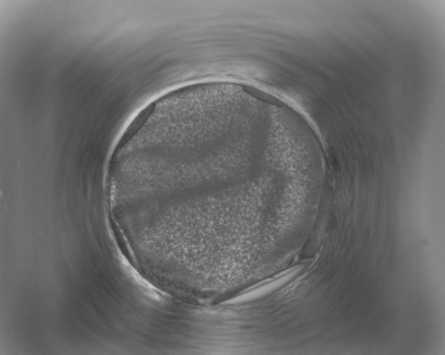 X0000060791532200512011652