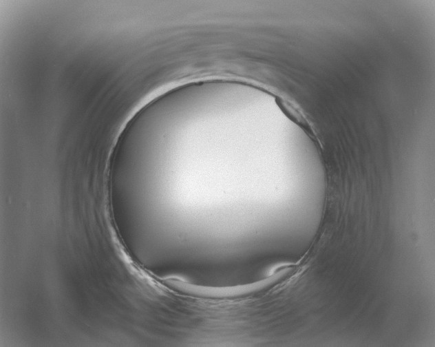 X0000060791534200512011652