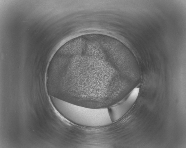 X0000060791535200512011652