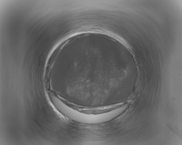 X0000060791536200512011652